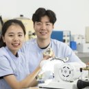 이정치과기공소 이미지