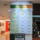 고성, 숙 | 강원도 양양 속초 겨울 여행 오색탄산온천 국내 가족 온천 여행지 갈만한곳 추천