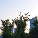 욜로PC방 부산동래본점 이미지
