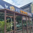 임실 상황버섯삼계탕 이미지