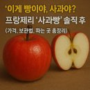 "이게 빵이야, 사과야?" 프랑제리 '사과빵' 솔직 후기 (가격, 보관법, 파는 곳 총정리)