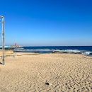 비놀리안 이미지