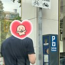 바이오모텔 | 240706 | 스위스 렌터카 10박 11일 여행 5일차, 루체른 카펠교, 그린델발트로 넘어가기, 아이거북벽뷰...