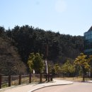 세자트라(방문자센터) 이미지