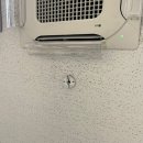 성림프라자 이미지