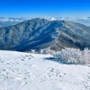 알프스까지 갈 필요 없다! ...등산 마니아를 사로잡는 우리나라 설산 이미지