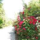 한옥과편백의 만남 이미지