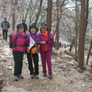 덕신초등학교 이미지