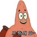 (주)리빙픽 | 용산 파빌리온 뷔페 솔직 후기 “많아서 좋은 뷔페”가 아니라 “잘 만들어진 뷔페”