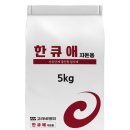 비엔피