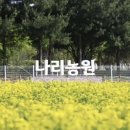 양주농원