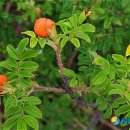 청정해역 이미지