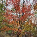 신정호관광지 | 아산 남산 안산 천년바위 신정호느티나무쉼터 등산 고고!