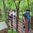 푸른 산악회 제 324차 포천 국립수목원 산행 보고 이미지