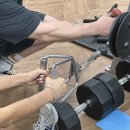 스카이 피티 이미지