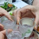 남도모텔 | 👨‍👩‍👧‍👦 [진도 가족여행 맛집] 자연산 회의 품격 '수품어장' 후기 | 가족 모두가 반한 풍성한 남도 밥상