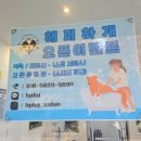 해피하개 이미지