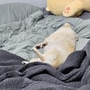 아이멍쥬 네이버블로그
