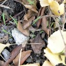 전소아청소년과의원 이미지