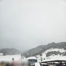 전북 무주 [ 덕유산 ] 눈보라 속 곤도라 탑승 설천봉 향적봉 눈꽃 등산 후기
