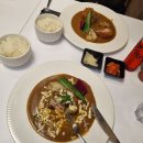카레집 | 과천 맛집 종점카레 저녁으로 돈까스카레와 함바그카레 먹으러 다녀온 과천카레집 후기