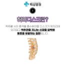 백성병원 네이버블로그
