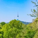 용산가족공원 이미지