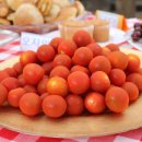 청강유치원 이미지