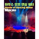 석도 | 마카오 하우스 오브 댄싱 워터, 5세 6세 관람 후기