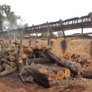 주식회사 일등 이미지