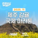 조천연대 | 2025 제주감귤 국제마라톤대회, 일정 코스 참가비 기념품 등 요약 정리