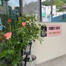 구조라펜션텔 이미지