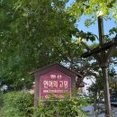 고향펜션 | 강릉 낙산해수욕장 낙산사 근처 가성비 숙소 바베큐 펜션 연어의고향 레몬 숙박후기
