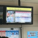 개미카 | [32개월] 4살 아기랑 사천바다케이블카 타고 하식이보러 아라마루 아쿠아리움 다녀온 후기 ( 크리스탈...