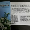 (사)제주어보전회 이미지