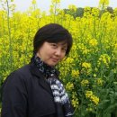 한겨레 치과의원 이미지