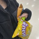 대본보링 | 바쁘다 바빠