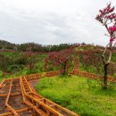 도화동산 이미지