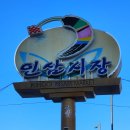 [영주 여행]: 풍기인삼시장에서 즐기는 인삼쇼핑과 건강관광의 매력!
