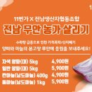 양파 이미지