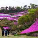 마이산 꽃 펜션 이미지