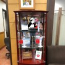 파티마의원 이미지