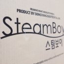 스팀보이 티스토리