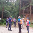 원주굽이길 3코스 회촌달맞이길 이미지