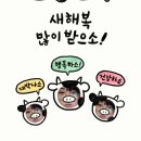알라딘투어 이미지