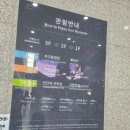 데시앙아파트 맞은편 교통섬 | 서울 서대문자연사박물관 지구과학의 비밀을 찾아서