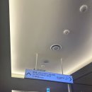 강남교자여의도 이미지