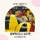 교연로1 | 충북혁신도시 쵸이캣 경기근교 아기랑 고양이 멀티카페 후기