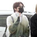 니트정원
