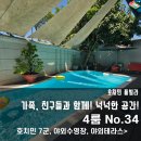 이쁜노래연습장 | 호치민 7군 풀빌라에서 즐기는 럭셔리한 하루! 수영 &amp; 바비큐 &amp; 노래방까지 완벽한 여행